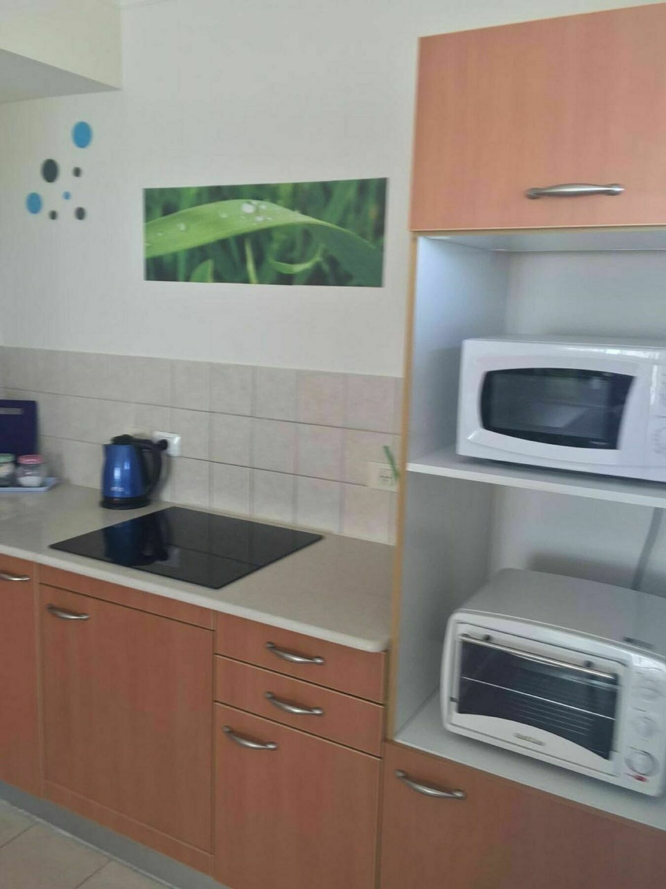 Laguna Beach Apartments حيفا المظهر الخارجي الصورة